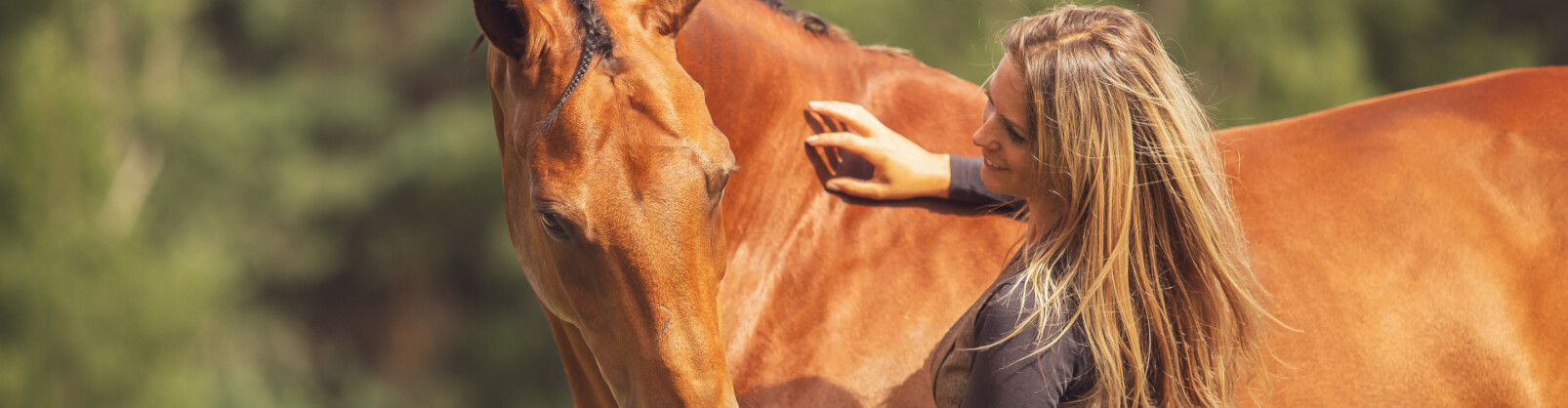 Verbinding tussen ruiter en paard na training volgens de methode