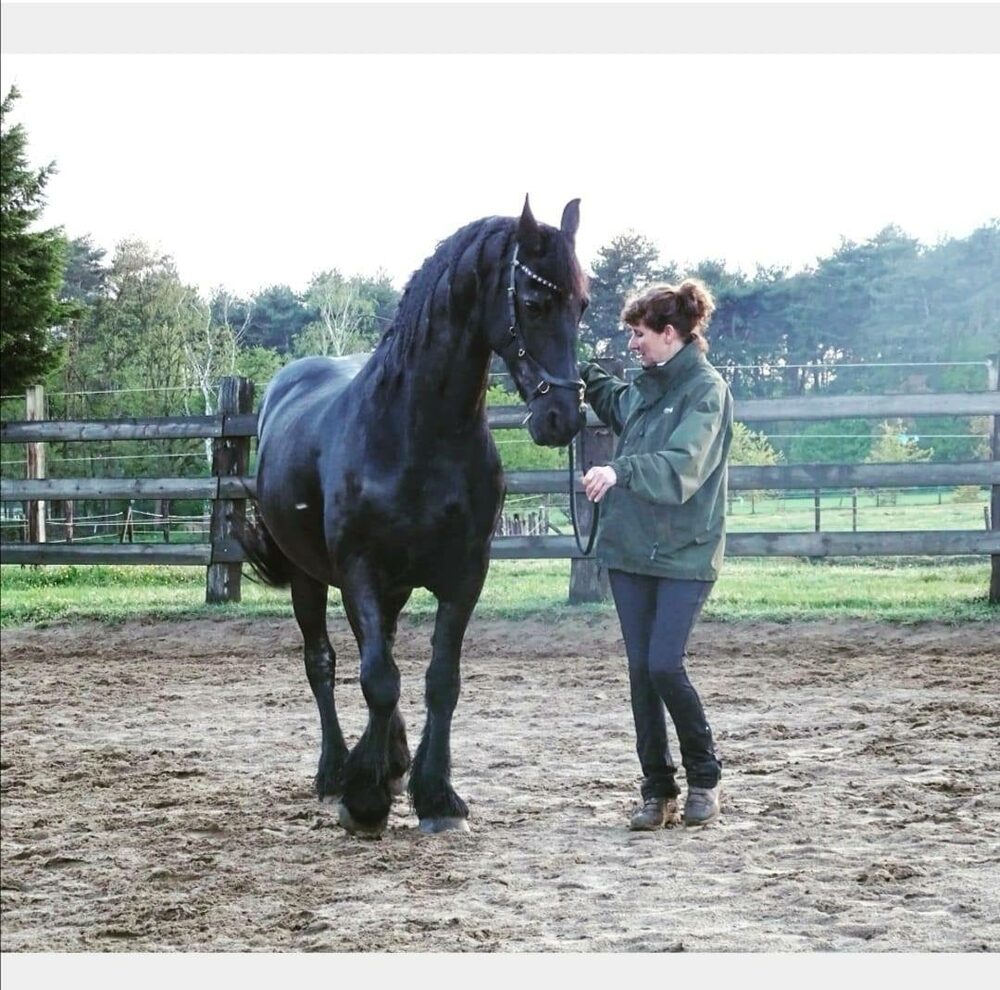 Conny Versendaal