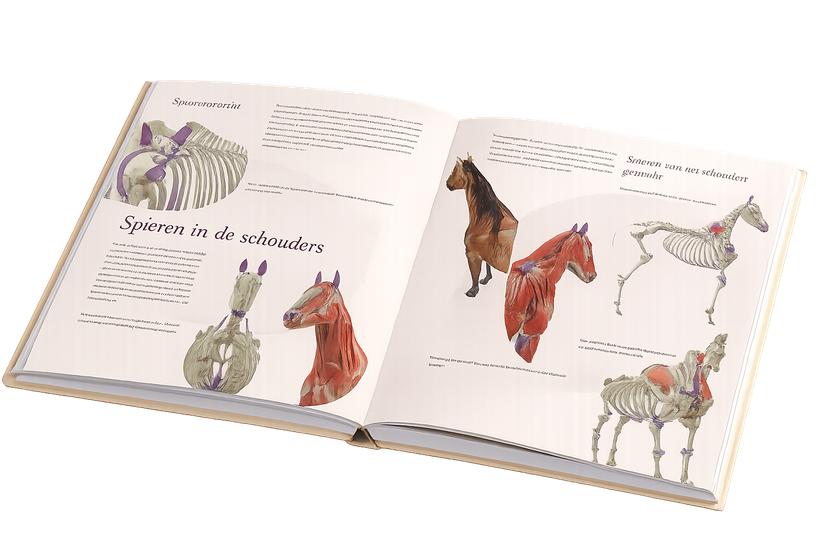 Het opengeslagen guasha-studieboek met anatomische illustraties