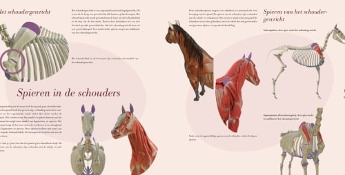Spread uit het guasha-studieboek met anatomische illustraties