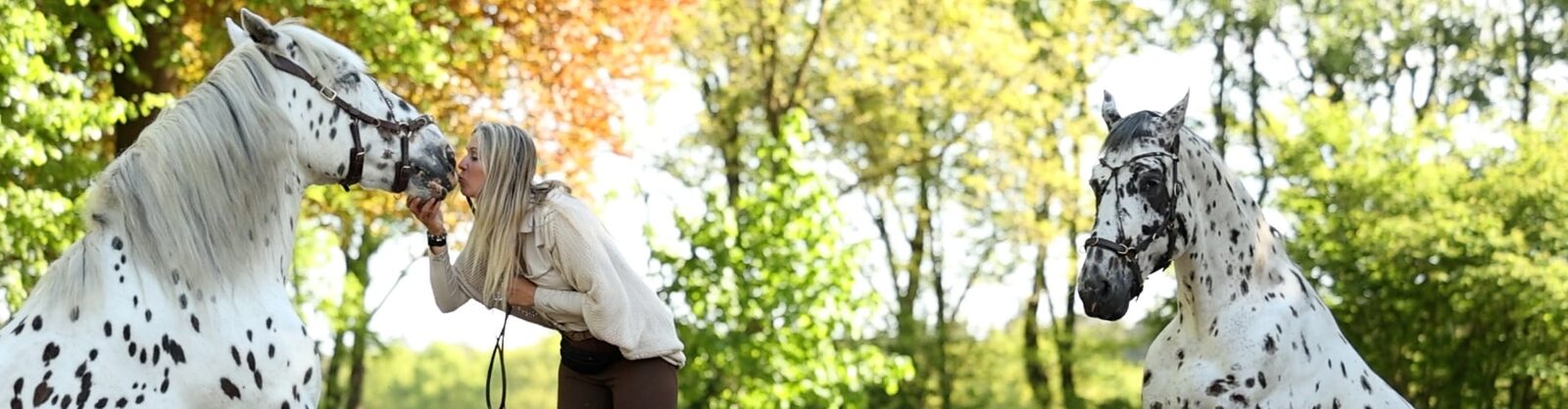 Praktijkles grondwerk tijdens de opleiding tot trainer en instructeur