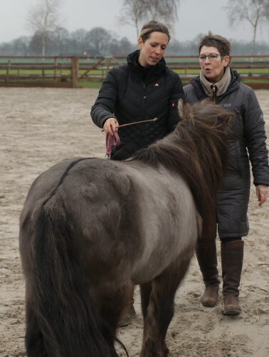 Groep afgestudeerde instructeurs tijdens een trainingsdag