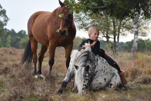 Praktijkles op de Academy met een student en haar paard